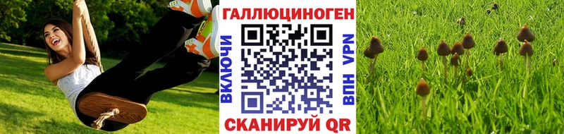 Купить где  Когалым  Галлюциногенные грибы MAGIC MUSHROOMS 